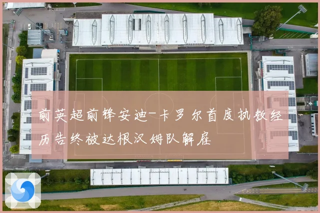 前英超前锋安迪-卡罗尔首度执教经历告终被达根汉姆队解雇